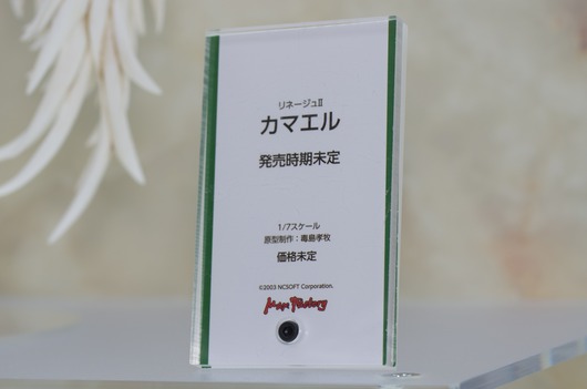 WF2003W_GS-116_R