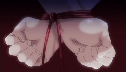 20190118eroanimedvsn202hve001