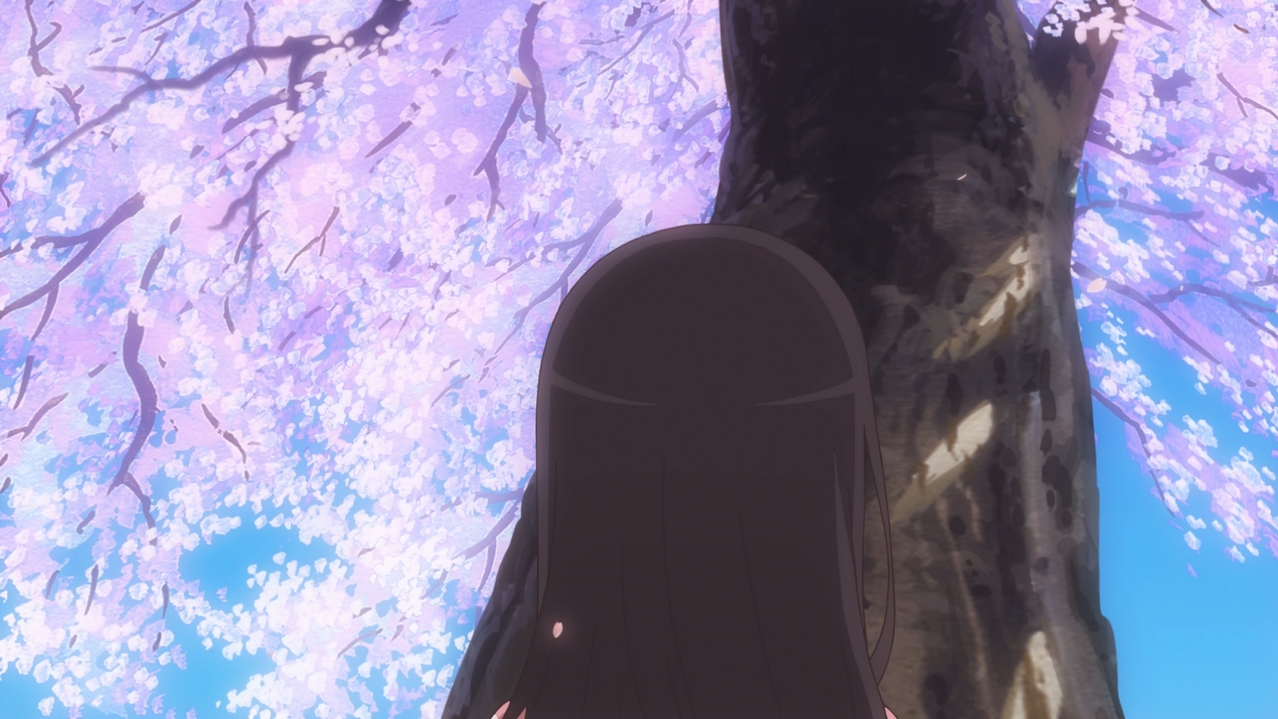 4554b9a6.jpg