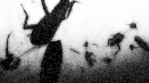 01411153tW14gTFR0162