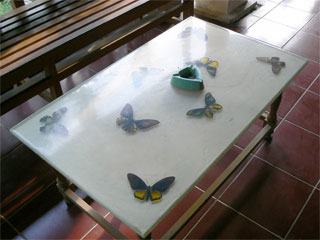 bali-butterfly-park6