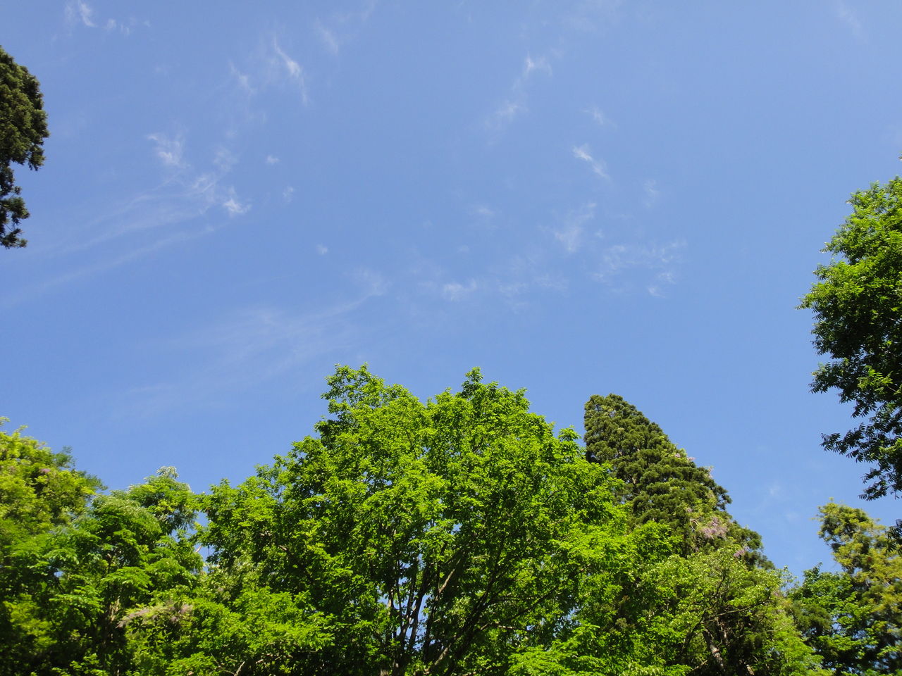 DSC03307