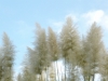 1a6776a9b391b2320bf9.JPG