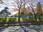 P1140946