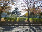 P1140945