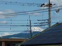 P1000426