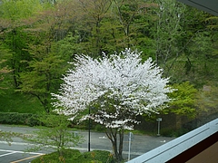 71c310e5c06b34a94a38.JPG