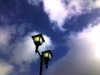 80cfea62a510f3fd0b9b.JPG