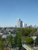 b602cc9c821d3b04d05c.JPG