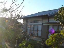 P1380223