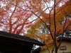 P1060501kekojjiejaijeje