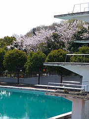 c9409957d02bbdcf7806.JPG