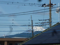 P1200869