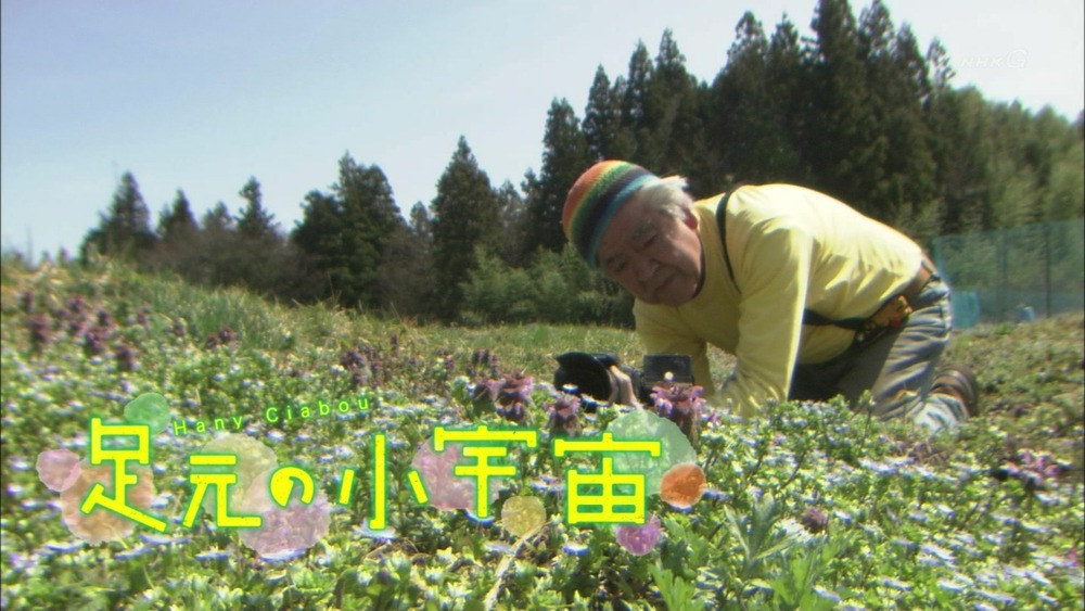 Amazon.co.jp: NHKスペシャル 足元の小宇宙 ~生命を見つめる植物