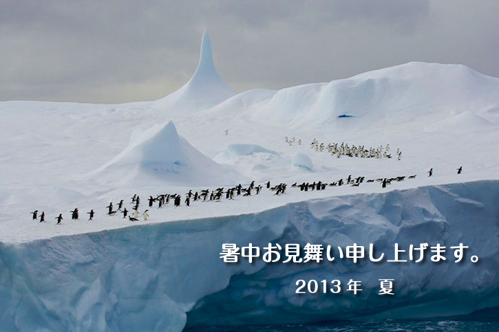 syochu2013