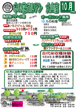 2510チラシ