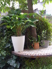RIMG0358