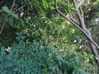KIMG0025