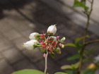 RIMG0913