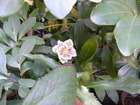 RIMG0029