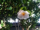 KIMG0721