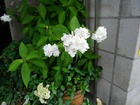 KIMG0023