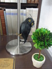 RIMG0617