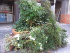 RIMG0726