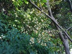 KIMG0043