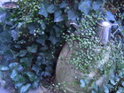 RIMG0761