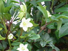 RIMG0147