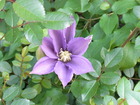 RIMG0143