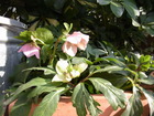 RIMG0026
