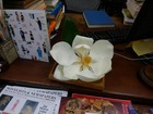 KIMG0052
