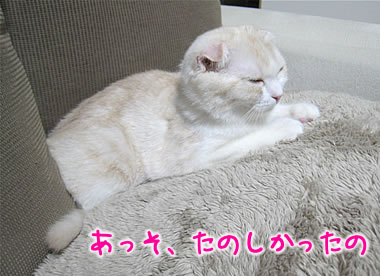 あっそ、たのしかったの