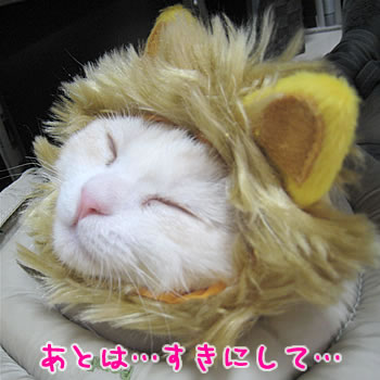 あとはすきにして…