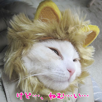 けどねむい…