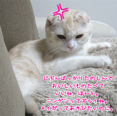 じぶんばっかりたのしんで…