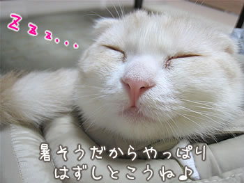 やっぱりはずしとこうね