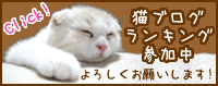 ランキング参加中!