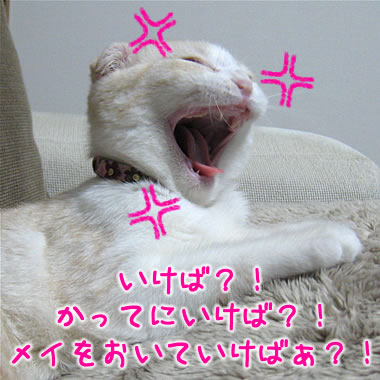 かってにいけばぁ?!