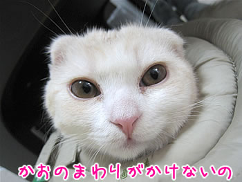 かおのまわりがかけないの
