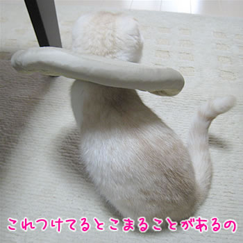 これつけてるとこまることがあるの