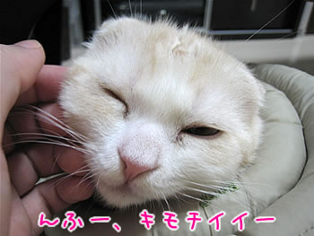 んふー、きもちいいー