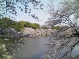 konorano0023