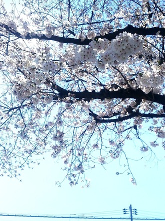 20190403_111026124