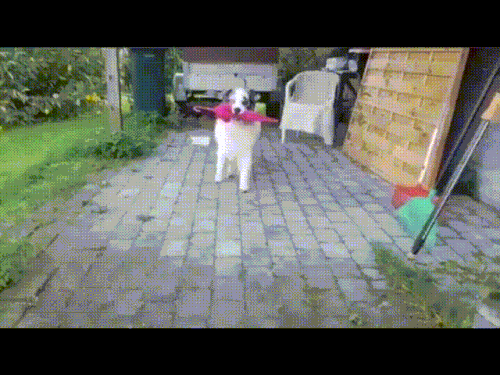 NgamwPy