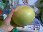 Image009