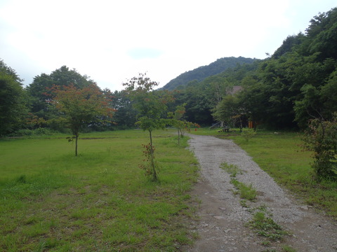 P7300331