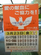49846193.jpg